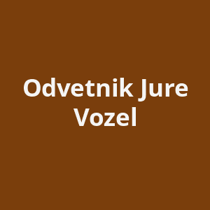 odvetnik-jure-vozel-av.png