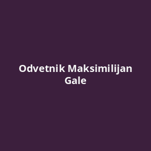 odvetnik-maksimilijan-gale-av.png