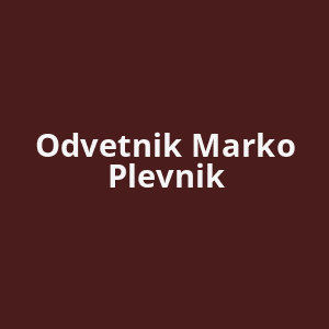 odvetnik-marko-plevnik-av.png