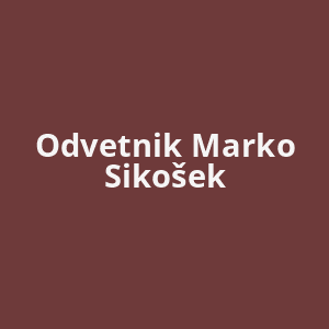 odvetnik-marko-sikosek-av.png