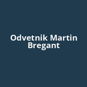odvetnik-martin-bregant-av.png
