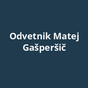 odvetnik-matej-gaspersic-av.png