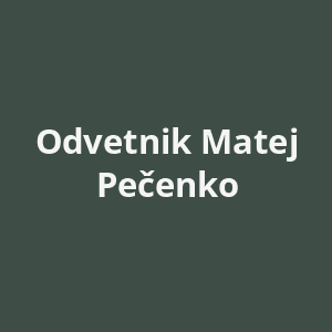 odvetnik-matej-pecenko-av.png