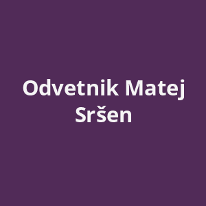 odvetnik-matej-srsen-av.png