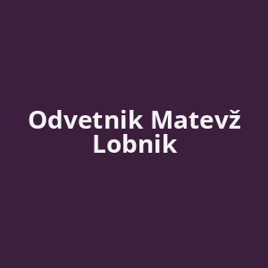 odvetnik-matevz-lobnik-av.png