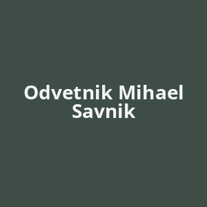 odvetnik-mihael-savnik-av.png