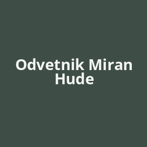 odvetnik-miran-hude-av.png