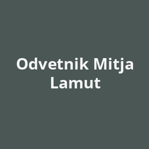odvetnik-mitja-lamut-av.png