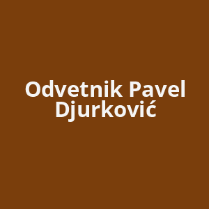 odvetnik-pavel-djurkovic-av.png