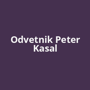 odvetnik-peter-kasal-av.png