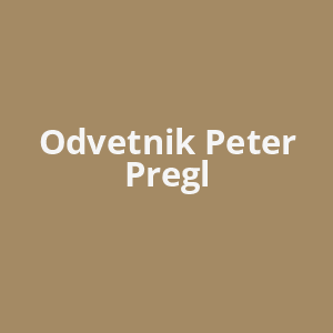 odvetnik-peter-pregl-av.png