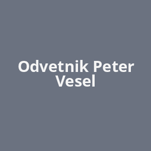 odvetnik-peter-vesel-av.png