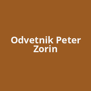 odvetnik-peter-zorin-av.png