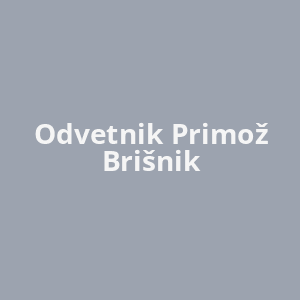 odvetnik-primoz-brisnik-av.png