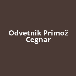 odvetnik-primoz-cegnar-av.png