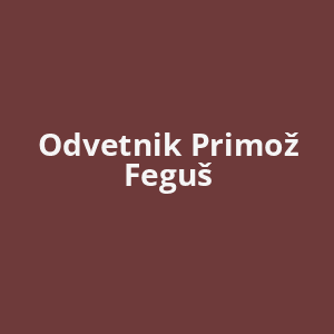 odvetnik-primoz-fegus-av.png
