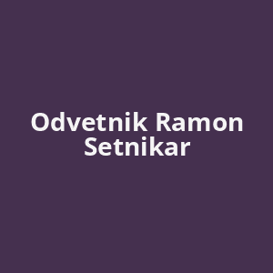 odvetnik-ramon-setnikar-av.png
