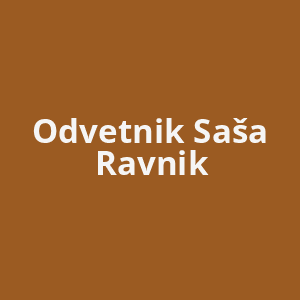 odvetnik-sasa-ravnik-av.png