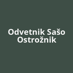 odvetnik-saso-ostroznik-av.png