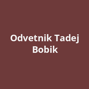 odvetnik-tadej-bobik-av.png