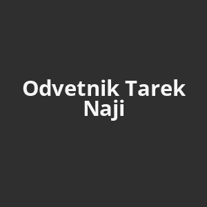 odvetnik-tarek-naji-av.png