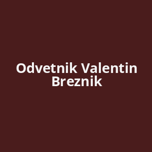 odvetnik-valentin-breznik-av.png