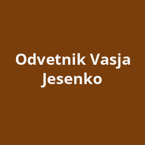 odvetnik-vasja-jesenko-av.png