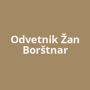 odvetnik-zan-borstnar-av.png