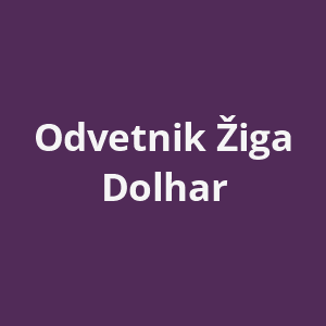 odvetnik-ziga-dolhar-av.png