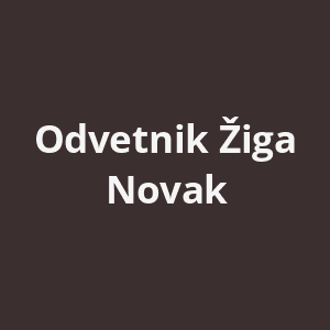 odvetnik-ziga-novak-av.png