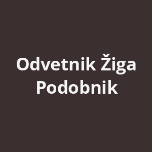 odvetnik-ziga-podobnik-av.png
