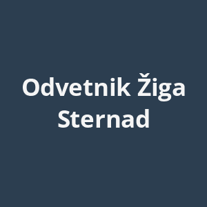 odvetnik-ziga-sternad-av.png
