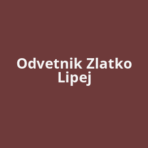 odvetnik-zlatko-lipej-av.png