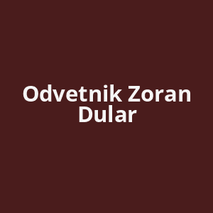 odvetnik-zoran-dular-av.png