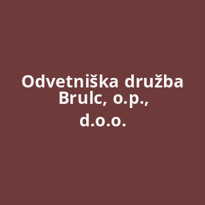 odvetniska-druzba-brulc-op-doo-av.png